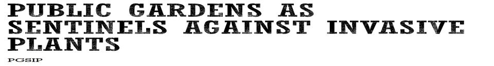 banner.jpg